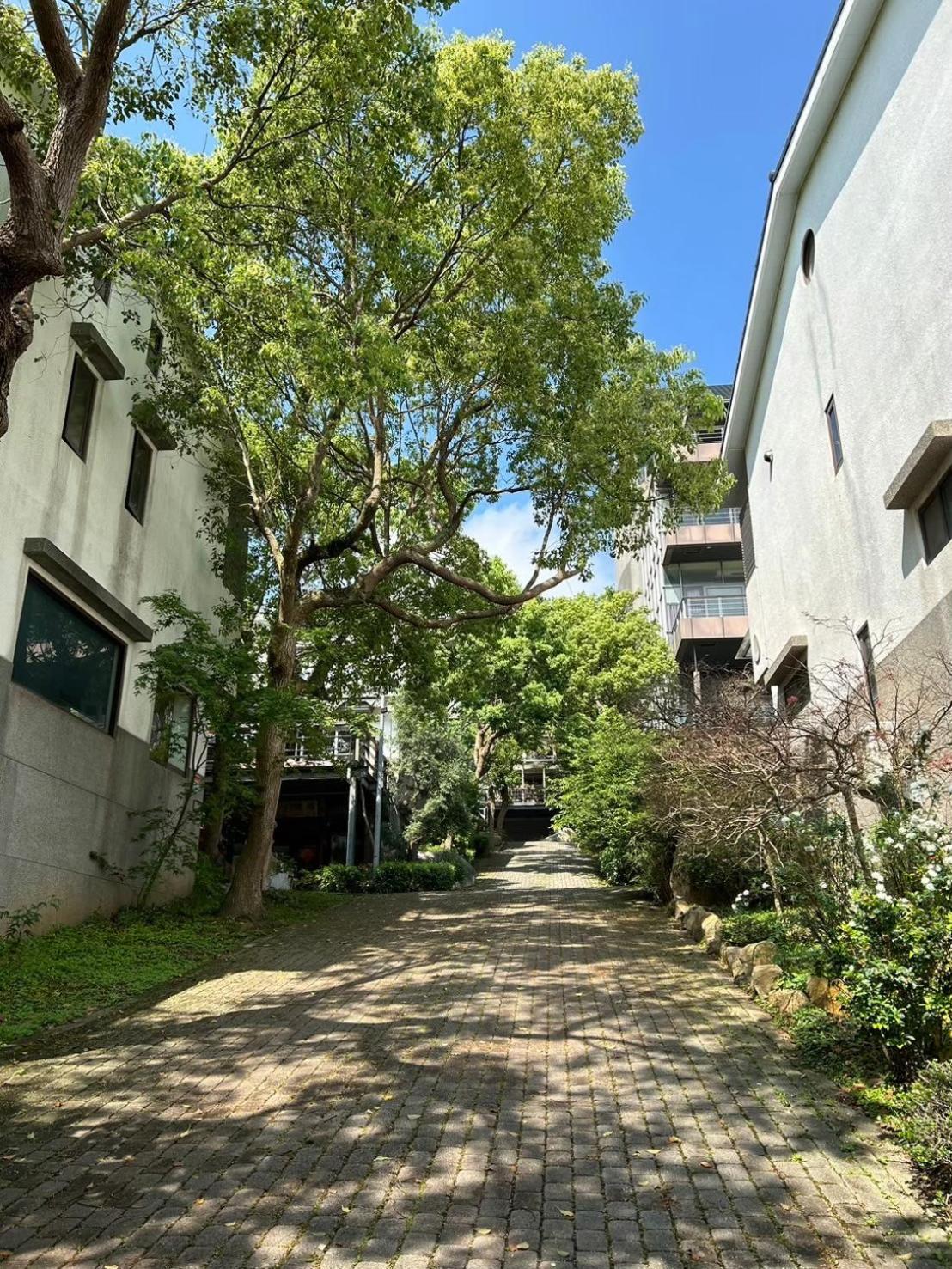Miaoli Sanyi Travelling Homestay Zewnętrze zdjęcie