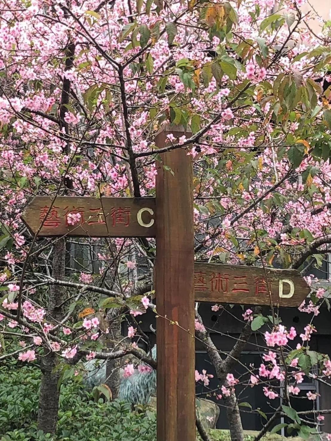 Miaoli Sanyi Travelling Homestay Zewnętrze zdjęcie